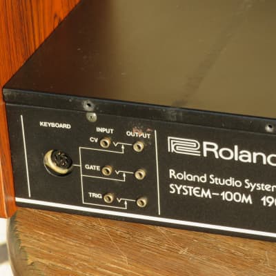 Roland System-100M 190 Enclosure image 2