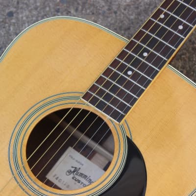1974 Tokai W-250 Humming Bird Custom Acoustic Folk Guitar image 4