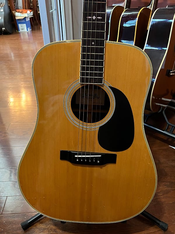 Tokai Hummingbird Custom - W-300 - Acoustic Guitar