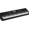 Casio WK6600 Portable Piano Keyboard 2017