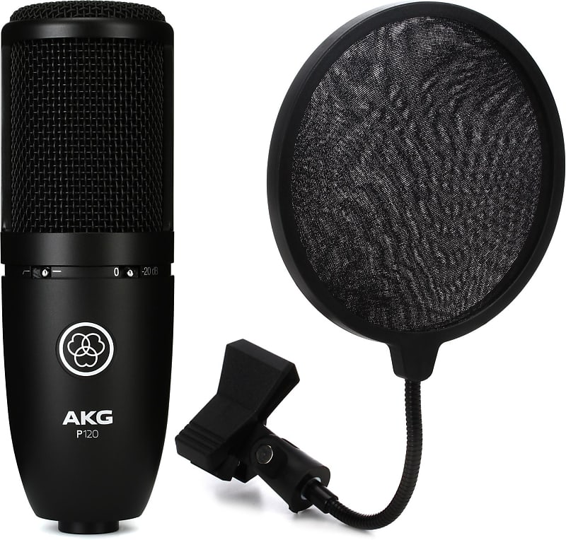 AKG P120 Large-diaphragm Condenser Microphone Bundle with | Reverb