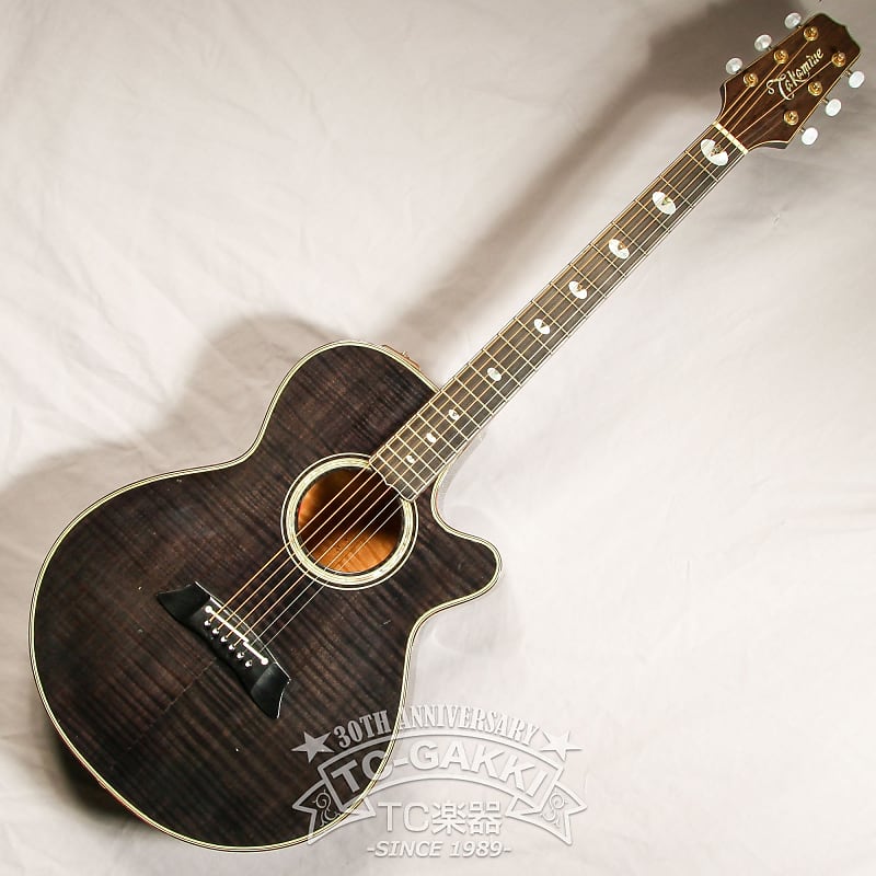 【おすすめ】 Takamine 1984 PT-118 | Reverb ギター