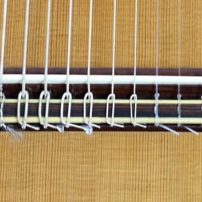 RARE Lucio Nuñez 10-String Classical Harp Guitar w/Cutaway, Arm Rest, Sound Port, Cedar/Cocobolo, TKL Hardshell Case image 15
