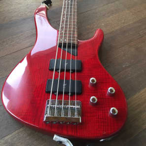Washburn XB-500 Active Bass Five Strings of Fury image 5