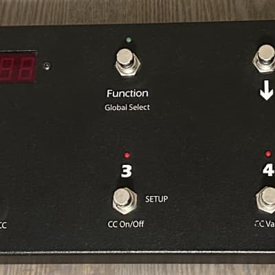 RJM Mastermind MIDI Foot Controller | Reverb RJM Mastermind MIDI Foot Controller | Reverb