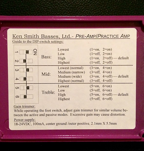 Ken Smith P.A.P.A. preamp/practice amp