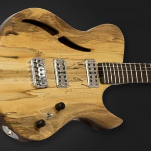 Dolan Custom Guitars - 'Mimas Legacy' Semi Hollow image 3