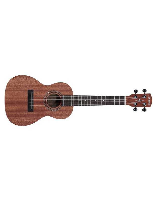 Alvarez ru22c store concert ukulele