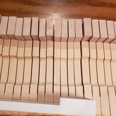 88 Mint unused Fender Rhodes keys for the 88 or 73 key | Reverb