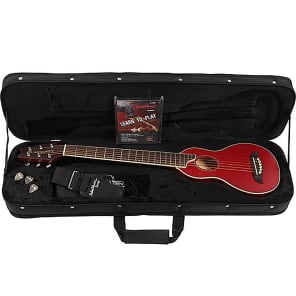 Washburn RO10TR Rover Acoustic Guitar Transparent Red