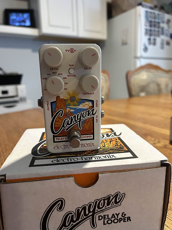 Electro-Harmonix Canyon