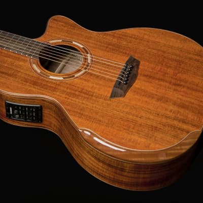 Washburn WCG55CE Comfort Series Grand Auditorium Koa Acoustic-Electric Guitar image 8