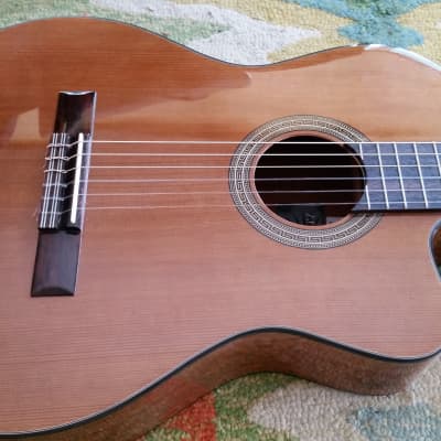 Giannini Classical  Acoustic / Electric Cut-a-way image 2