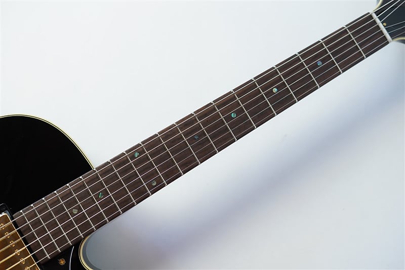 Rozeo Ladybug SM-C HB - TSB #RZ0803 | Blue Guitars Online Store