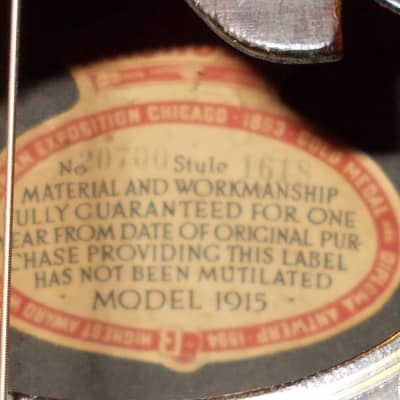 1910-1915 Washburn Lyon & Healy Model 1915 Bowlback Mandolin image 13