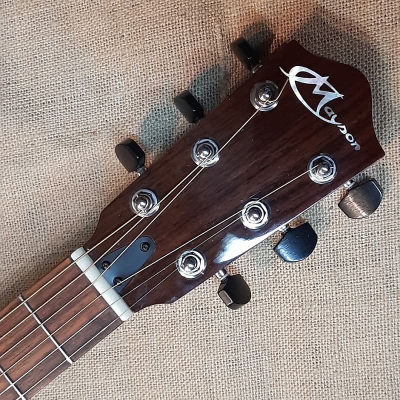 Mayson PS-300 Performer acoustic model