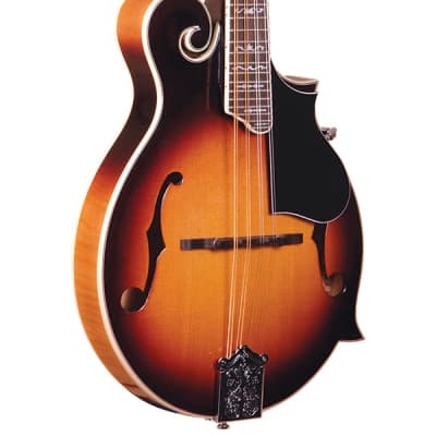 Gold Tone GM-35 F-Style Spruce Top Maple Neck 8-String Mandolin with Foam Case for sale