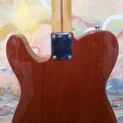 2001 Fender '69 Telecaster Thinline Natural Finish Maple Neck Mahogany Body  (Used) "Made In Mexico" image 19
