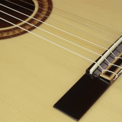 CORBIN MDG229 Classical Nylon String Acoustic image 4
