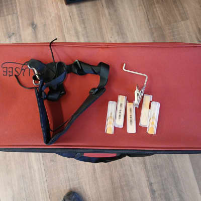 Alysee A808L Sax Alto image 4