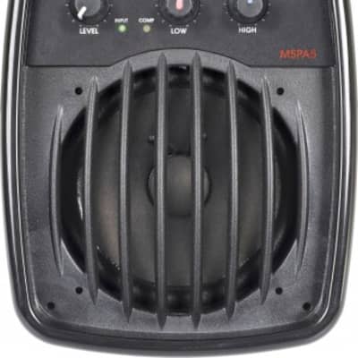 Galaxy Audio MSPA5 5" Active Personal Vocal Monitor 100W image 1