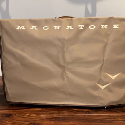 Magnatone Stereo Twilighter 22-Watt 2x12 Never Played Brand, New in Box image 8