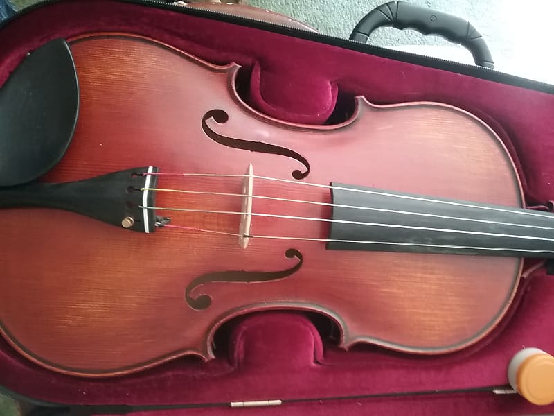 Gliga Cristian professional viola 17