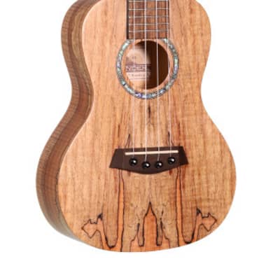 ISLANDER Traditional concert ukulele with spalted maple top for sale