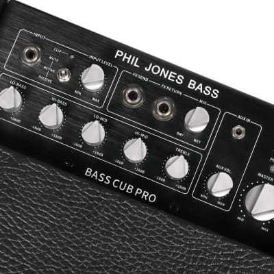 Phil Jones BG-120 Bass Cub Pro 120W 2x5" Bass Combo Amp image 2