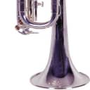 Trumpet W/Case