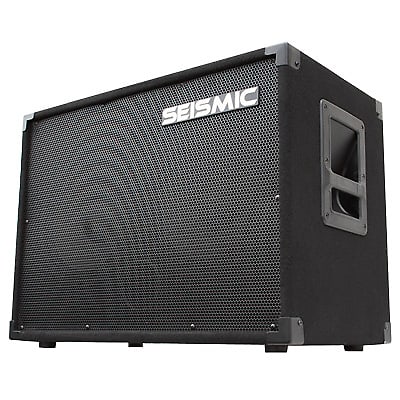 Seismic Audio 210 Bass Guitar Speaker
