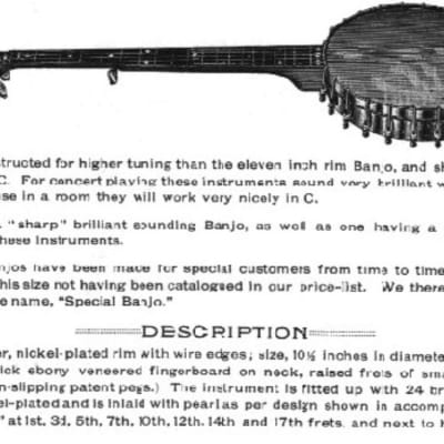 SS Stewart Special Banjo 1895 - Oiled satin image 15
