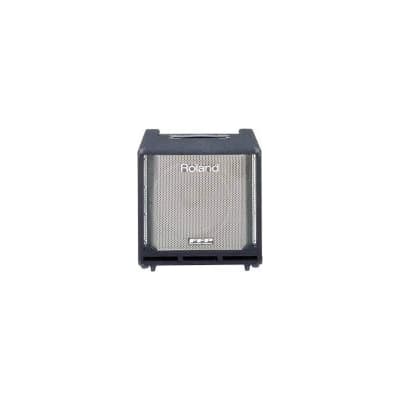 Roland DB-500 D-Bass 2-Channel 160-Watt 1x12
