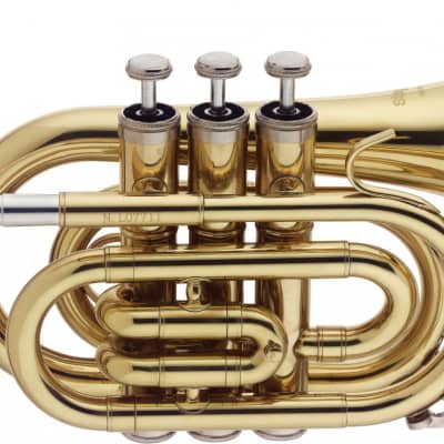 Stagg WS-TR245S ML-Bore Brass Body Key of Bb Pocket Trumpet w/Soft Case & Mouthpiece 7C Silver Plated image 2