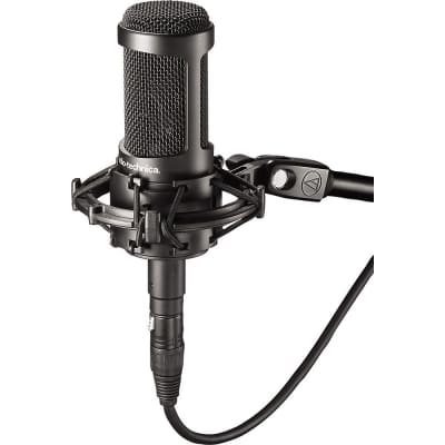 Audio-Technica AT2050 Multi-Pattern Large Diaphragm Condenser Microphone image 2