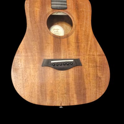 Baby Taylor 305-M-GB Mahogany Arch Back Guitar & Gig Bag Signed & Numbered for sale