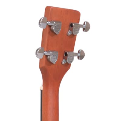 Gold Tone TG-10 Mahogany Neck 4-String Acoustic Tenor Guitar with Gig Bag image 10