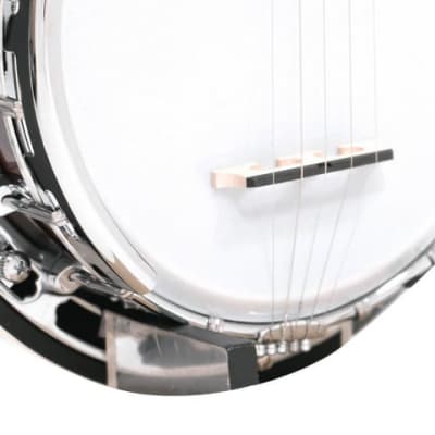 Gold Tone BG-Mini Short Scale 8" Mini Bluegrass 5-String Banjo  w/Case, New, Free Shipping, Authorized Dealer, Demo Video! image 15