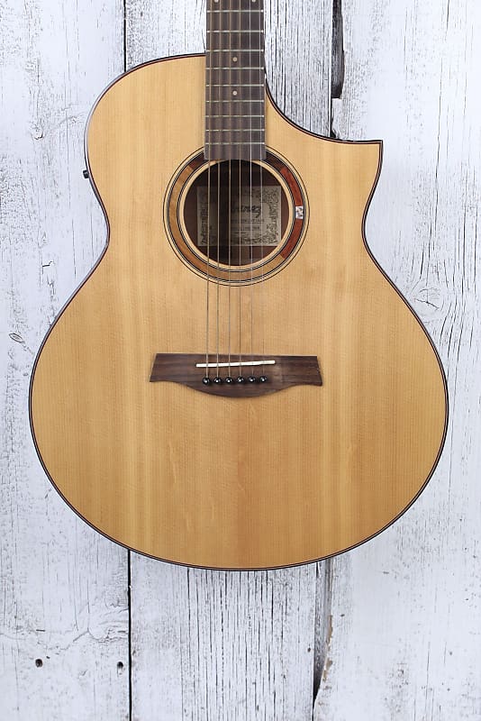 Ibanez Aew120bg Exotic Wood Acoustic Electric Guitar Natural Reverb 