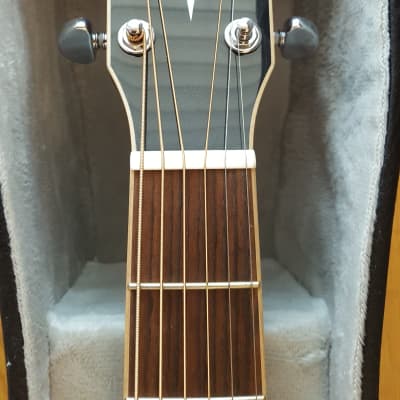 Cort AS-E4 Acoustic | DIY Fever