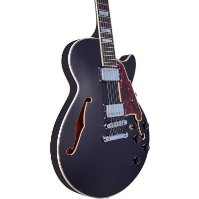 D'Angelico Premier SS Semi-Hollow Electric Guitar with Stopbar Tailpiece Black Flake image 5