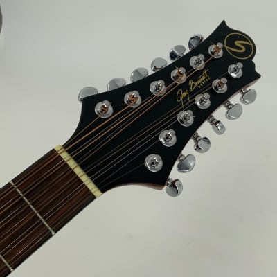 Samick Greg Benett Design 12 String Acoustic Guitar Model D-2-12 image 3