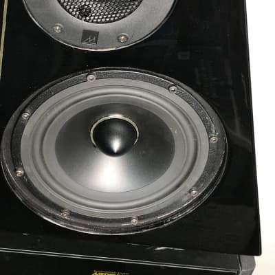 Meridian DSP6000 Digital Loudspeaker System (Pair) image 4
