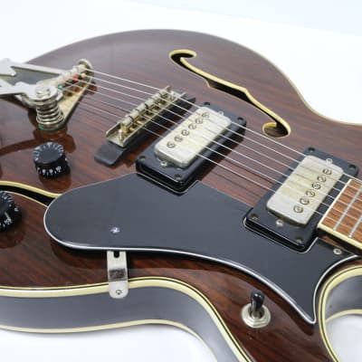 Noble EG680-2RG Hollowbody Electric Guitar w/ Case 1960s Vintage Korea Norma Tiesco SET-UP! image 6
