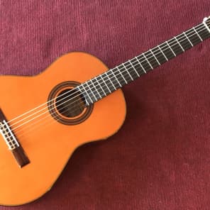 New World Guitar Co Player P650 Cedar image 1