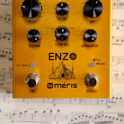 Reverb.com listing, price, conditions, and images for meris-enzo