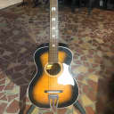 Stella H-6130 Acoustic Guitar