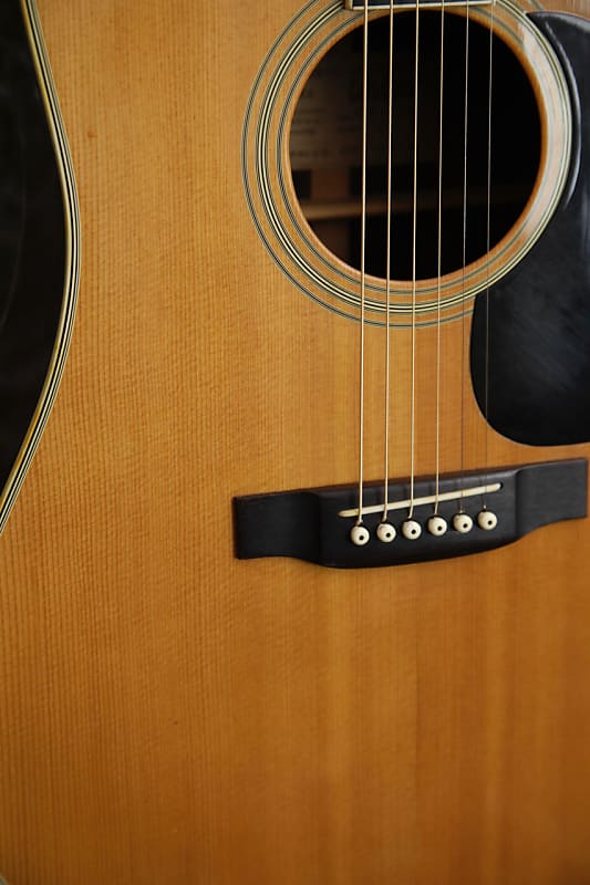 Tokai Cat's Eyes CE-400 Vintage Acoustic Guitar Made in