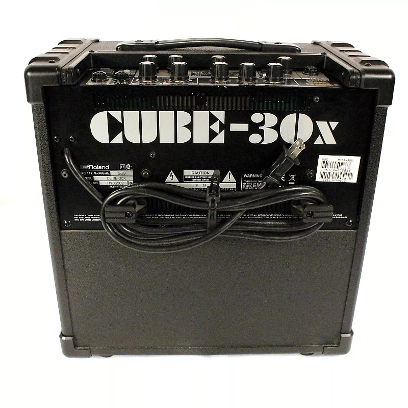 Roland CUBE-30X 2-Channel 30-Watt 1x10" Guitar Combo image 2