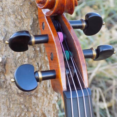 Professional Violin, Antique Dark Brown Varnish, Handmade in Kansas USA by Colton Mulder, Crow Creek Fiddles 2023 image 15